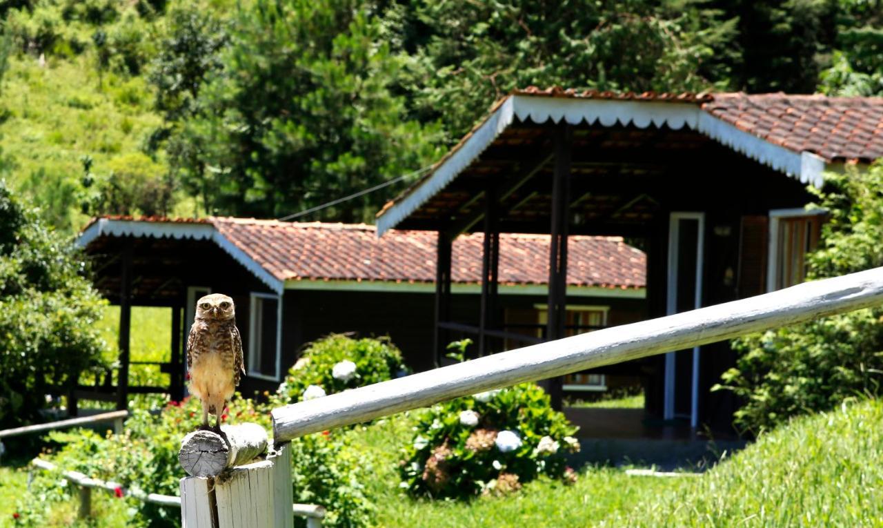 Hotel Fazenda Floresta Negra Monte Verde  Buitenkant foto